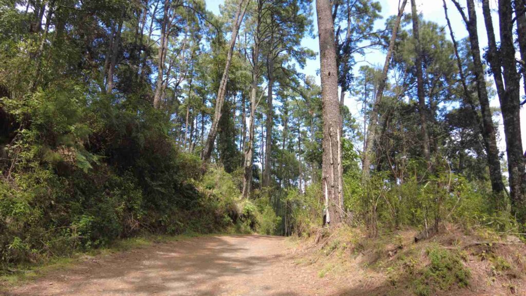 Recorridos al Cráter del volcán Paricutín volcan paricutin