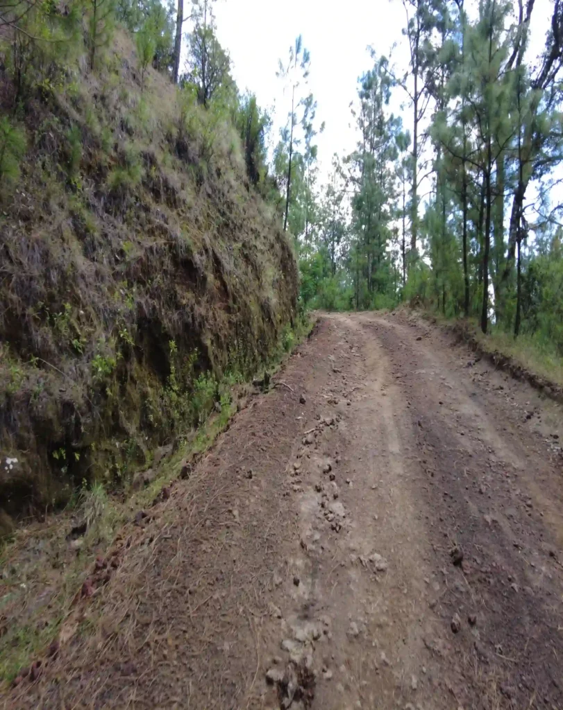 Recorridos al Cráter del volcán Paricutín volcan paricutin