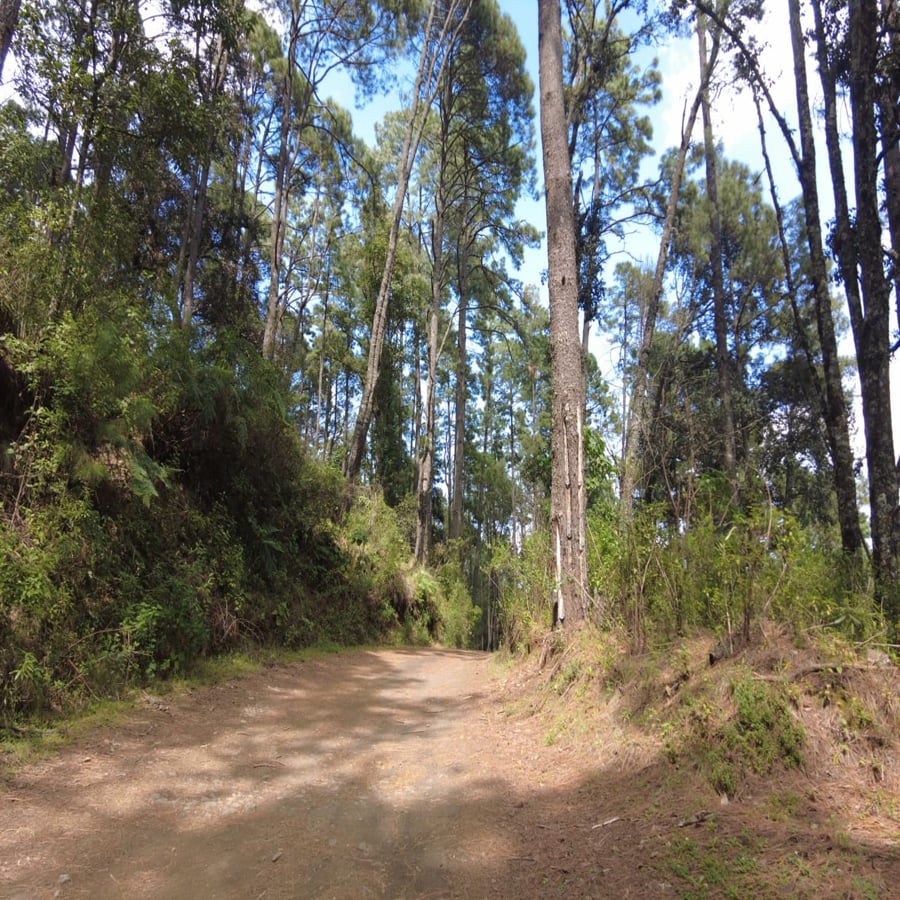 Recorridos al Cráter del volcán Paricutín volcan paricutin