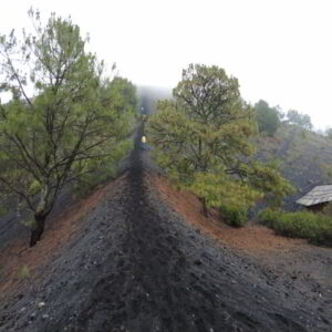 Recorridos al Cráter del volcán Paricutín volcan paricutin