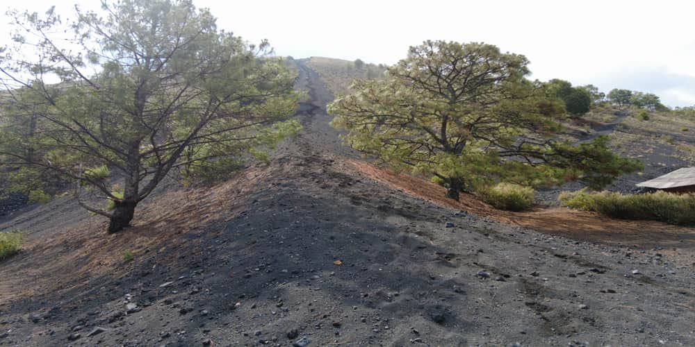 Recorridos al Cráter del volcán Paricutín volcan paricutin