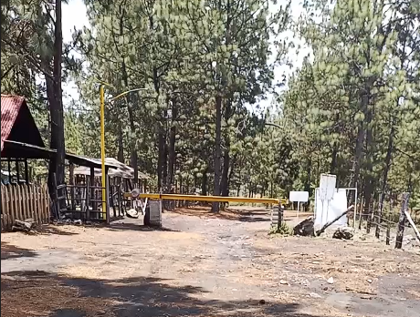 Recorridos al Cráter del volcán Paricutín volcan paricutin