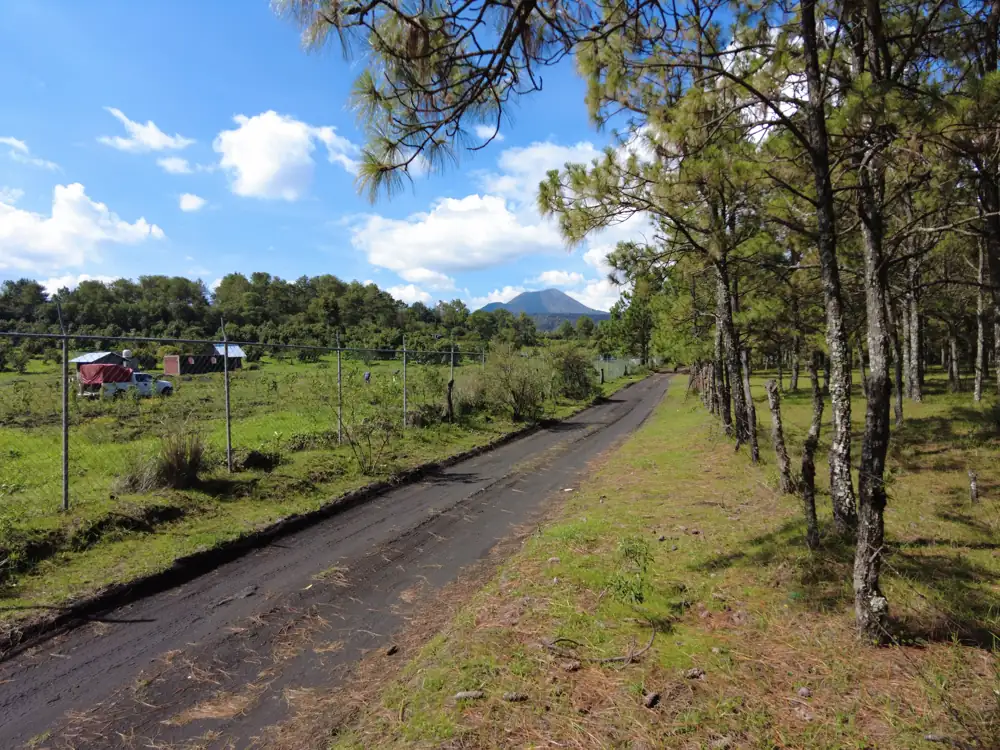 Recorridos al Cráter del volcán Paricutín volcan paricutin
