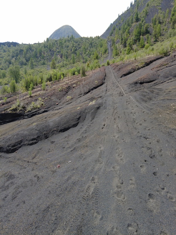 Recorridos al Cráter del volcán Paricutín volcan paricutin