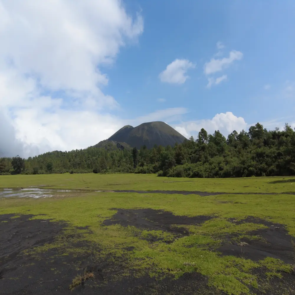 Recorridos al Cráter del volcán Paricutín volcan paricutin