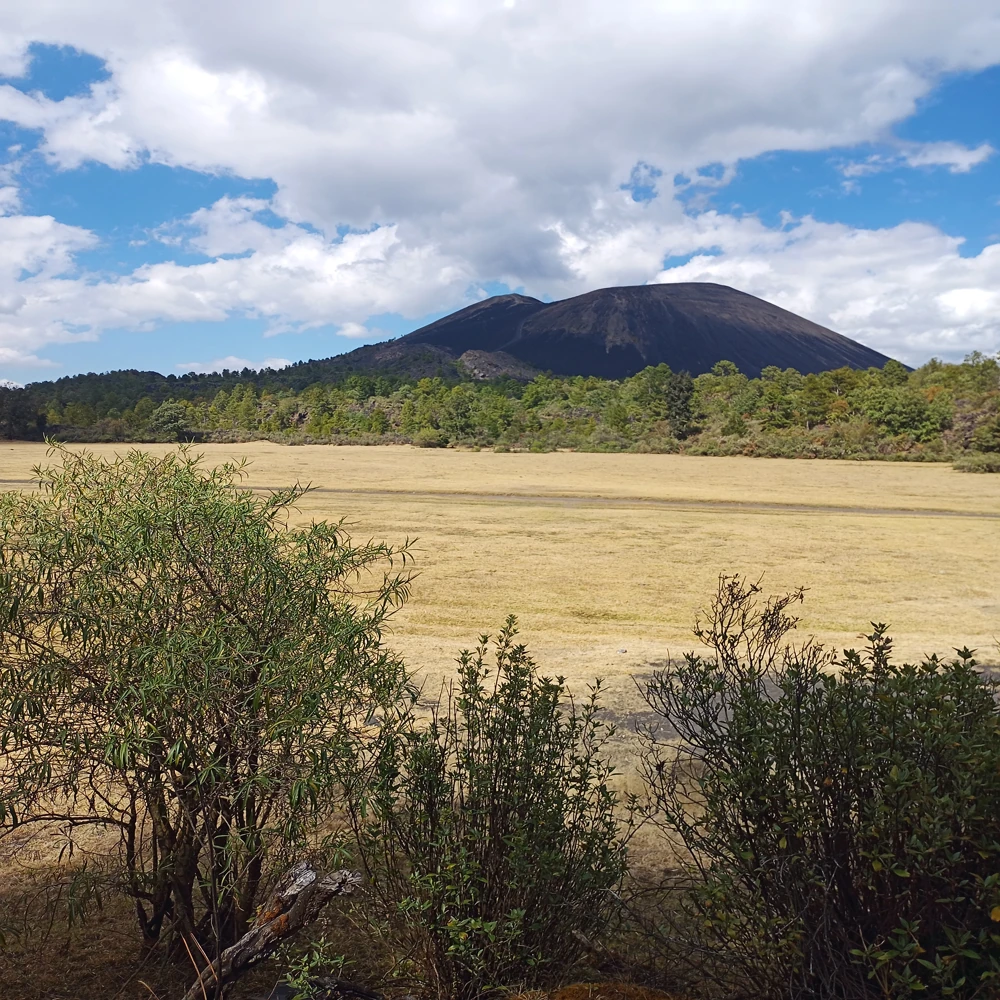Recorridos al Cráter del volcán Paricutín volcan paricutin