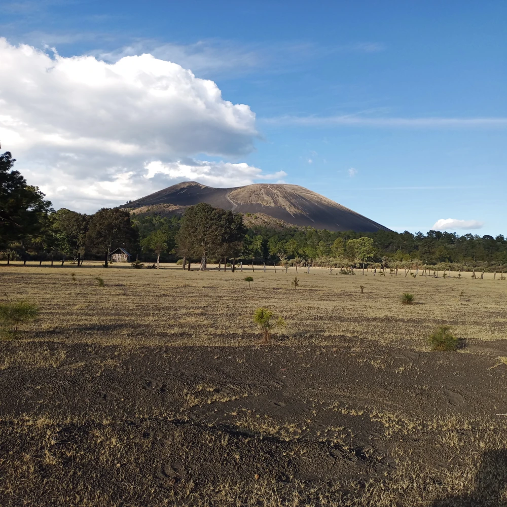 Recorridos al Cráter del volcán Paricutín volcan paricutin