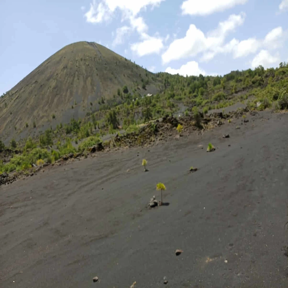 Recorridos al Cráter del volcán Paricutín volcan paricutin